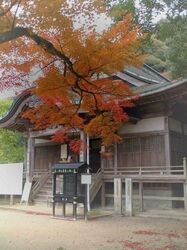 般若寺秋まいり／（c）般若寺