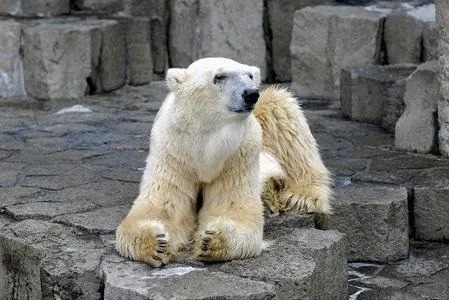 【2025】関東の1日遊べる無料・格安スポット13選｜親子で楽しむおすすめ施設を厳選！の1枚目の写真