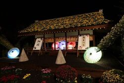 第73回　楽寿園　菊まつり／三島市