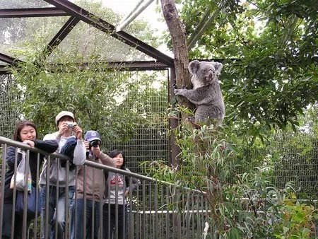 【2025】関東の1日遊べる無料・格安スポット13選｜親子で楽しむおすすめ施設を厳選！の17枚目の写真