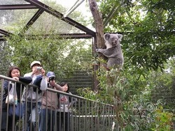 「【2025】関東の1日遊べる無料・格安スポット13選｜親子で楽しむおすすめ施設を厳選！」の写真