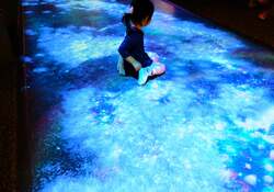 「ディスカバリーガーデン」