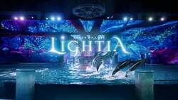 「横浜八景島シーパラダイスでクリスマス！イルカと光が織りなす海のイルミネーション」の写真