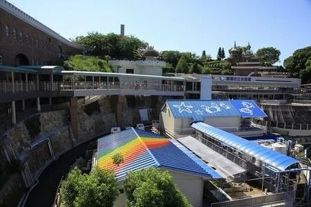 関西の格安水族館6選｜大人1,000円以下＆子供300円以下・無料スポットも！の4枚目の写真