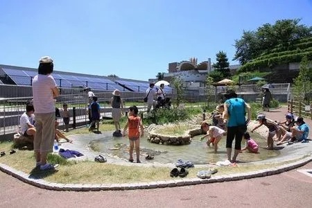 関西の格安水族館6選｜大人1,000円以下＆子供300円以下・無料スポットも！の5枚目の写真