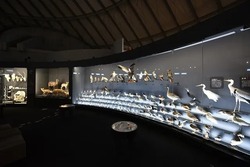 「関西の格安水族館6選｜大人1,000円以下＆子供300円以下・無料スポットも！」の写真