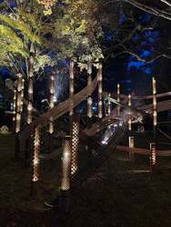 「山梨県南アルプス市で竹あかりとナイトマーケット開催　入場無料で冬の夜を満喫」の写真