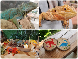 まるで恐竜？アニマル展（写真はイメージです）