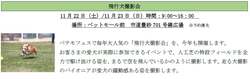 「千葉市の豊砂公園でペットと楽しむ大型イベント「ペテモフェス2025」が開催！」の写真