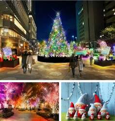 ※画像はイメージです