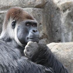 「【市原周辺】11月15日・16日の今週末のおでかけにもおすすめ！人気スポットランキング」の写真