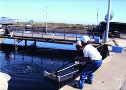 「【銚子周辺】11月15日・16日の今週末のおでかけにもおすすめ！人気スポットランキング」の写真
