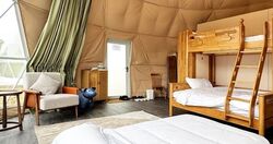 「【銚子周辺】11月15日・16日の今週末のおでかけにもおすすめ！人気スポットランキング」の写真