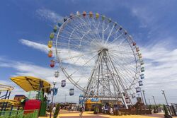 「【木更津周辺】11月15日・16日の今週末のおでかけにもおすすめ！人気施設ランキング」の写真