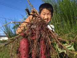 「【木更津周辺】11月15日・16日の今週末のおでかけにもおすすめ！人気施設ランキング」の写真