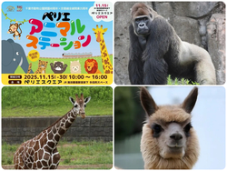 ペリエアニマルステーション