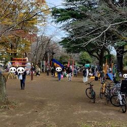 「【佐倉周辺】11月15日・16日の今週末のおでかけにもおすすめ！人気スポットランキング」の写真