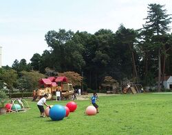 「【佐倉周辺】11月15日・16日の今週末のおでかけにもおすすめ！人気スポットランキング」の写真