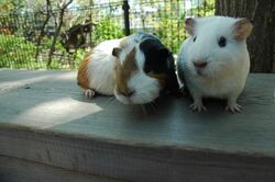 「【北千住周辺】11月15日・16日の今週末のおでかけにもおすすめ！人気施設ランキング」の写真