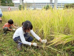 「【北千住周辺】11月15日・16日の今週末のおでかけにもおすすめ！人気施設ランキング」の写真