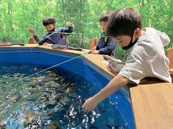 「【相模原周辺】11月15日・16日の今週末のおでかけにもおすすめ！人気施設ランキング」の写真