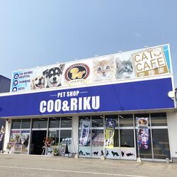 「【帯広周辺】11月15日・16日の今週末のおでかけにもおすすめ！人気スポットランキング」の写真