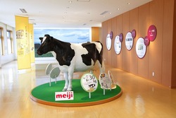 「【帯広周辺】11月15日・16日の今週末のおでかけにもおすすめ！人気スポットランキング」の写真