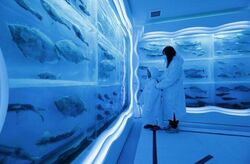 「【石巻周辺】11月15日・16日の今週末のおでかけにもおすすめ！人気スポットランキング」の写真