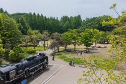 「【川崎周辺】11月15日・16日の今週末のおでかけにもおすすめ！人気スポットランキング」の写真