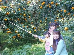 「【小田原周辺】11月15日・16日の今週末のおでかけにもおすすめ！人気施設ランキング」の写真