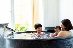 「【小田原周辺】11月15日・16日の今週末のおでかけにもおすすめ！人気施設ランキング」の写真