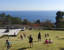 「【小田原周辺】11月15日・16日の今週末のおでかけにもおすすめ！人気施設ランキング」の写真