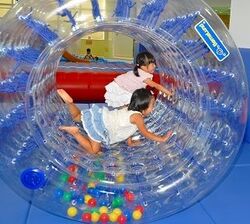 「【焼津周辺】11月15日・16日の今週末のおでかけにもおすすめ！人気スポットランキング」の写真