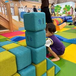 「【焼津周辺】11月15日・16日の今週末のおでかけにもおすすめ！人気スポットランキング」の写真