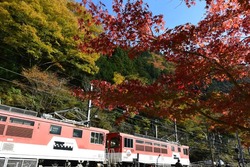 「【焼津周辺】11月15日・16日の今週末のおでかけにもおすすめ！人気スポットランキング」の写真