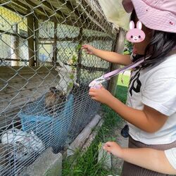 「【えびの周辺】11月15日・16日の今週末のおでかけにもおすすめ！人気施設ランキング」の写真