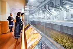 「【えびの周辺】11月15日・16日の今週末のおでかけにもおすすめ！人気施設ランキング」の写真