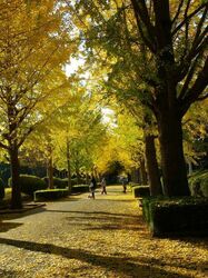 「【大洗周辺】11月15日・16日の今週末のおでかけにもおすすめ！人気スポットランキング」の写真