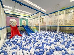 「【宇都宮周辺】11月15日・16日の今週末のおでかけにもおすすめ！人気施設ランキング」の写真