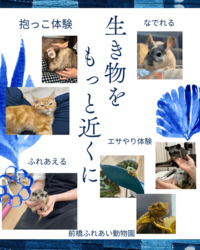 「【前橋周辺】11月15日・16日の今週末のおでかけにもおすすめ！人気スポットランキング」の写真