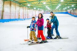 「【川越周辺】11月15日・16日の今週末のおでかけにもおすすめ！人気スポットランキング」の写真