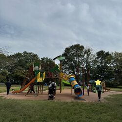 「【秩父周辺】11月15日・16日の今週末のおでかけにもおすすめ！人気スポットランキング」の写真