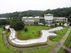 「【秩父周辺】11月15日・16日の今週末のおでかけにもおすすめ！人気スポットランキング」の写真