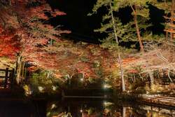 「愛知県瀬戸市の紅葉穴場スポットで牡蠣とBBQを満喫！　岩屋堂公園で期間限定イベント」の写真