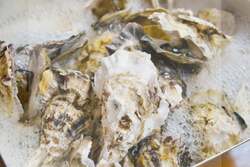 「愛知県瀬戸市の紅葉穴場スポットで牡蠣とBBQを満喫！　岩屋堂公園で期間限定イベント」の写真