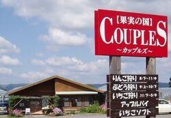 「【阿蘇周辺】11月15日・16日の今週末のおでかけにもおすすめ！人気スポットランキング」の写真