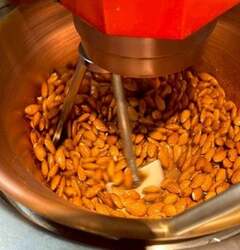 「サンタも登場！名古屋栄でクリスマスマーケット開催　エリア拡大でさらに楽しく」の写真