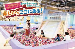 「【豊橋周辺】11月15日・16日の今週末のおでかけにもおすすめ！人気スポットランキング」の写真
