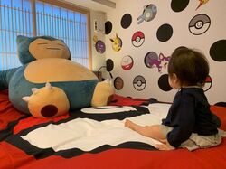 「【二条城周辺】11月15日・16日の今週末のおでかけにもおすすめ！人気施設ランキング」の写真