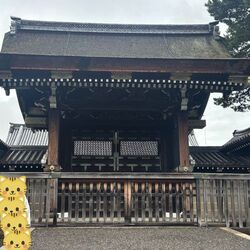 「【二条城周辺】11月15日・16日の今週末のおでかけにもおすすめ！人気施設ランキング」の写真